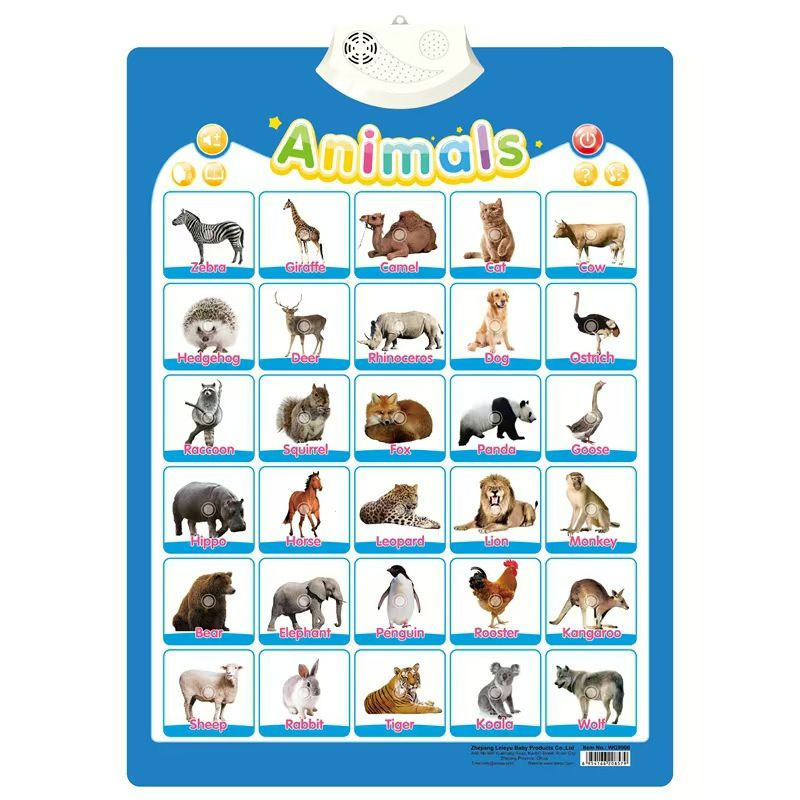 Kids Early Learning Education toys  Children Learning Toys Kids Learning  Wall Chart  Gift For Boys Girls Baby