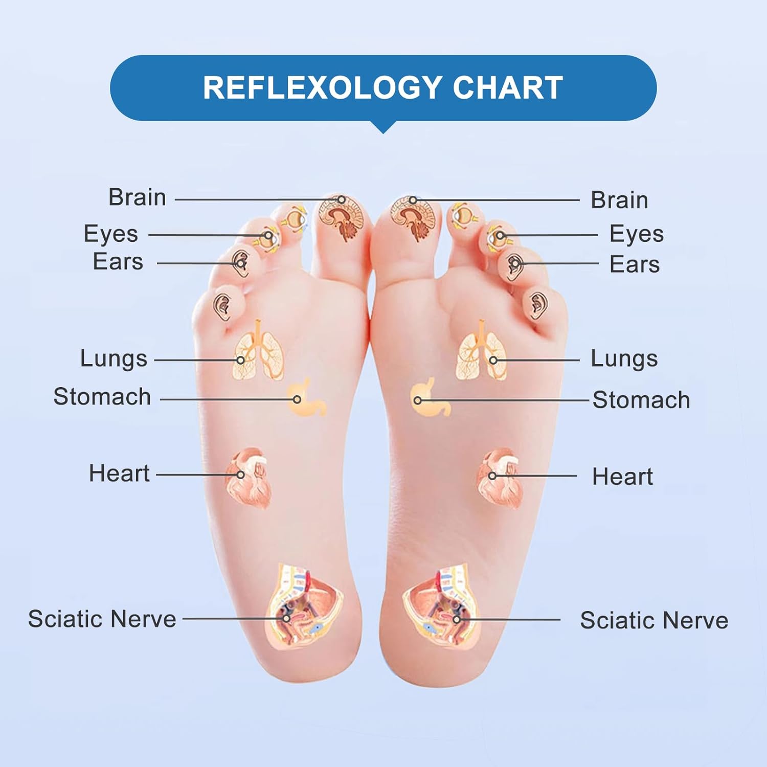 TPE Anti Slip Foot Massage Pad Home Yoga Training Board for Feet Relaxation ，Manual Massage Tool with Magnetic Therapy Acupressure Disc
