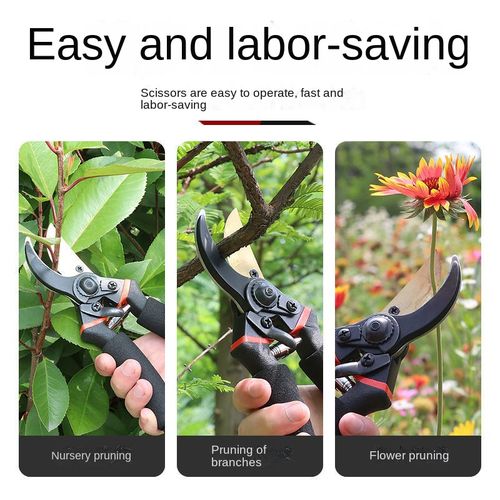 Gardening Pruners Hand Guard Rough Branch Scissors  Garden  Tool Fruit Tree Pro Pruning Shears Scissor Cutting Tools