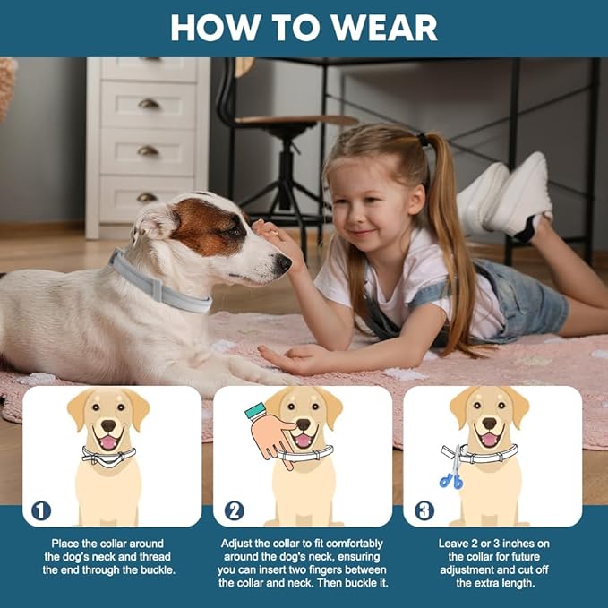 Flea Collars for Dog& Cats Pet , Flea & Tick Collar for Dogs& Cats Pet , Tick Collar for Large Dogs& Cats Pet , Upgraded Sturdy & Adjustable 8 Months Prevention