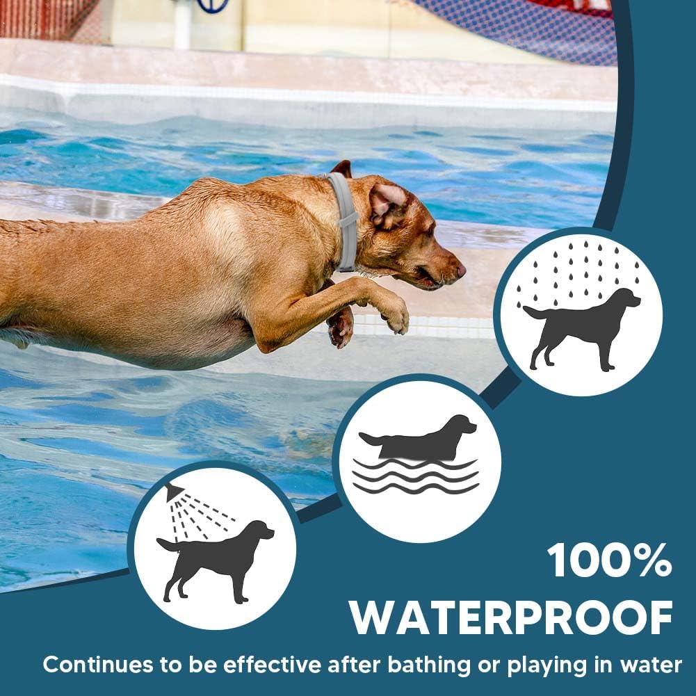 Flea Collars for Dog& Cats Pet , Flea & Tick Collar for Dogs& Cats Pet , Tick Collar for Large Dogs& Cats Pet , Upgraded Sturdy & Adjustable 8 Months Prevention