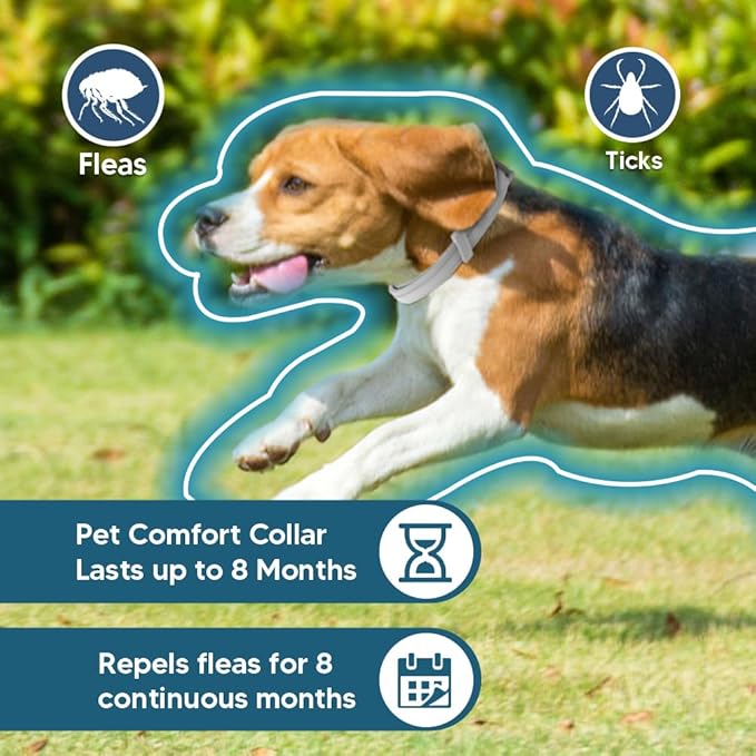Flea Collars for Dog& Cats Pet , Flea & Tick Collar for Dogs& Cats Pet , Tick Collar for Large Dogs& Cats Pet , Upgraded Sturdy & Adjustable 8 Months Prevention