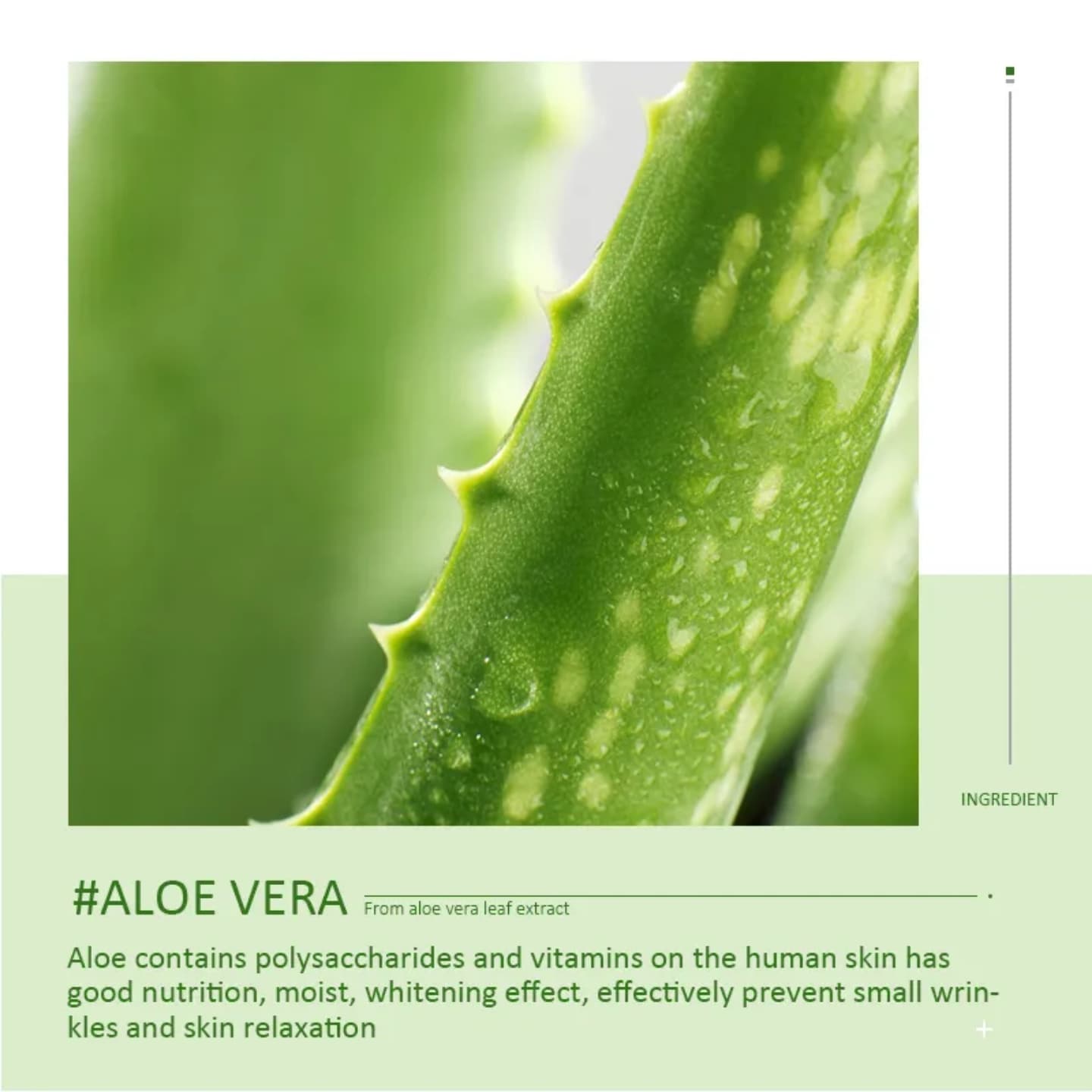 New arrival Dark circle removal aloe vera eye serum anti-puffiness anti-wrinkle moisturizer nourishing 30ml eye serum reduce the visibility of dark circles and give your under-eye area smoother