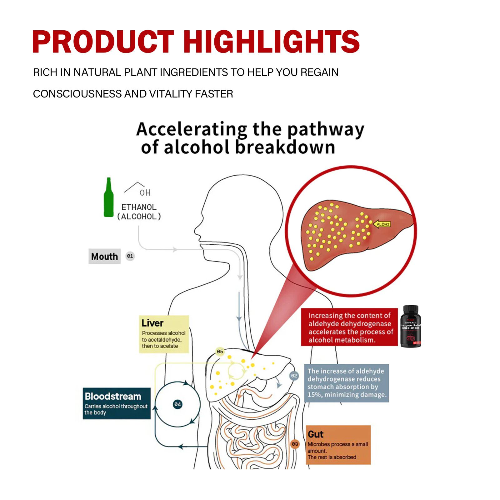 Hangover Relief Capsules-Natural Alcohol Detox & Liver Support, Fast Recovery 120 capsules