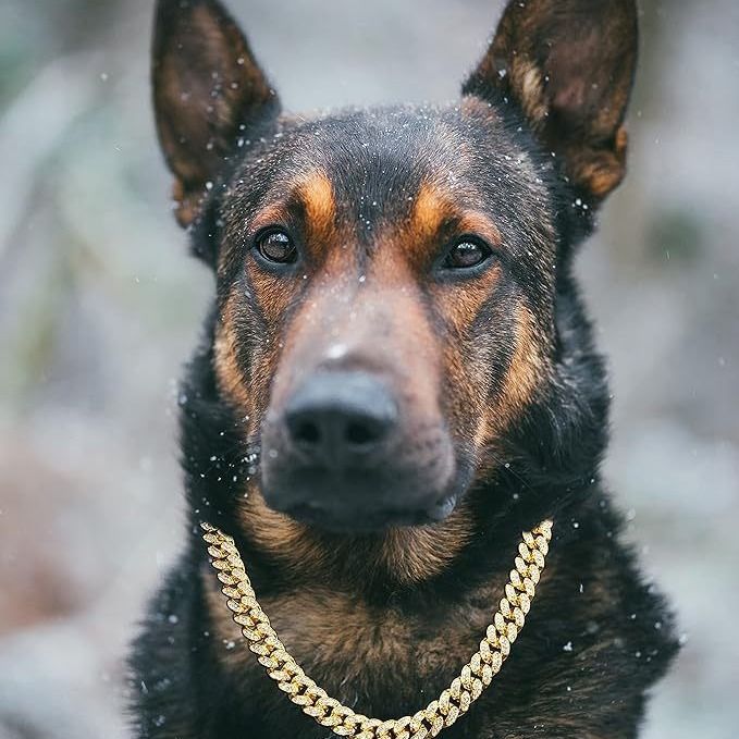 European And American Fashionable Pet Dog Collars And Necklaces Studded With Diamonds Cuban Chain Dog Collars Dog Chains Lock Clasps Gold And Silver Cool And Handsome