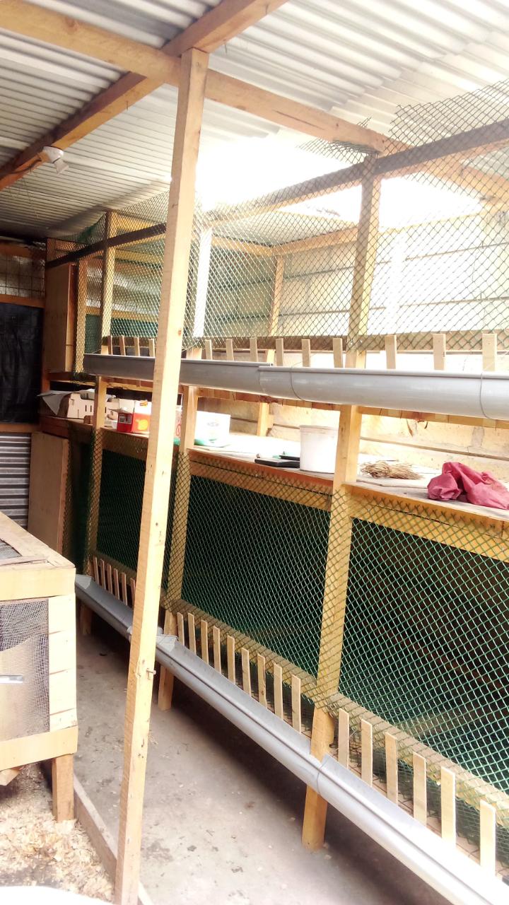 High Quality chicken wire Plastic Chicken Wire - 1 meter wide- 600 GSM