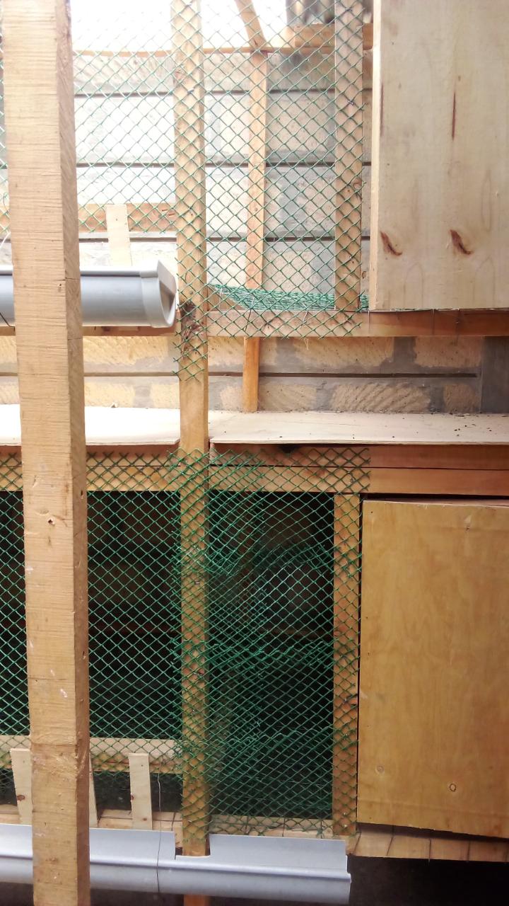 High Quality chicken wire Plastic Chicken Wire - 1 meter wide- 600 GSM