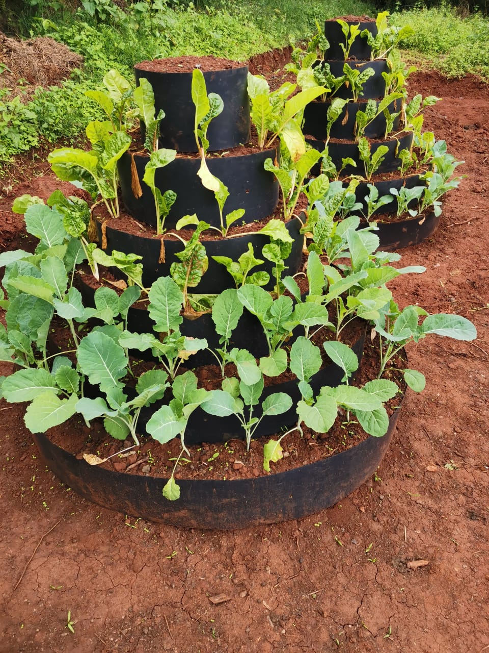 high quality and space saving Vertical garden - 6  layers - 75 plants made from recycled far materials