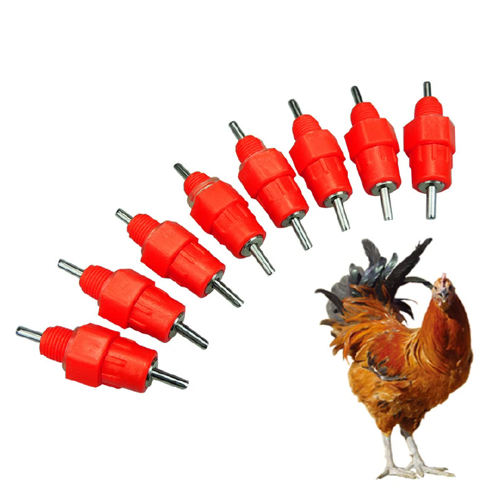 50pcs/10pc   Drinkers poultry feeding water  Chicken Water Chicken Feeders