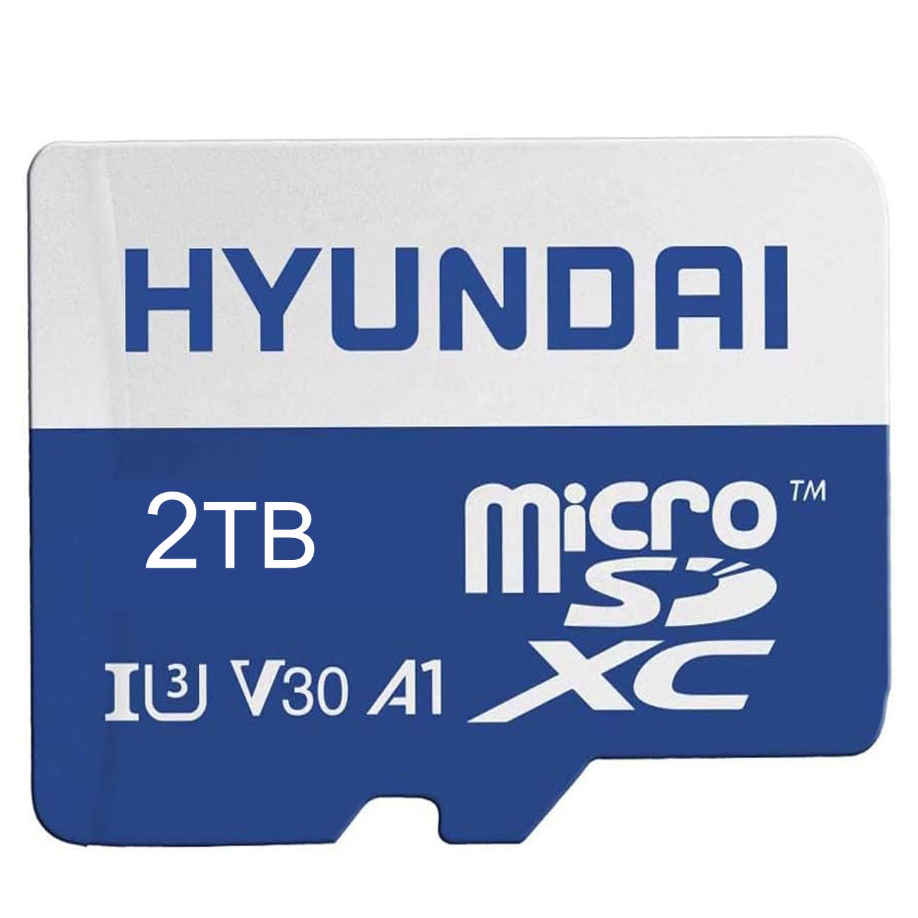 HYUNDAI 32GB 64GB 128GB 256GB 512GB 1TB 1T 2TB A1 U3 V30 SDXC Flash Memory Card 512G MicroSD Mini Micro TF SD Card for Cell Phones Laptops Cameras