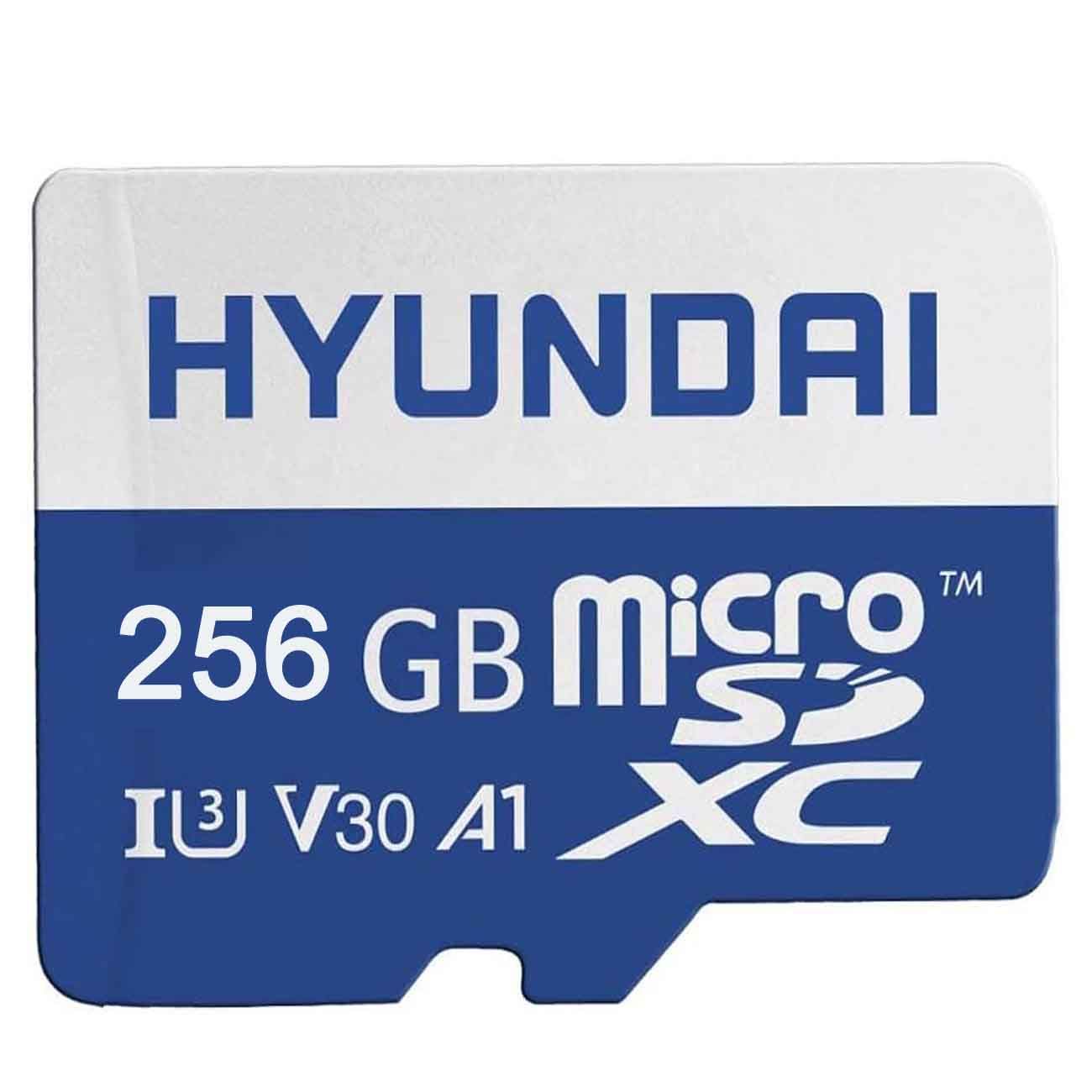 HYUNDAI 32GB 64GB 128GB 256GB 512GB 1TB 1T 2TB A1 U3 V30 SDXC Flash Memory Card 512G MicroSD Mini Micro TF SD Card for Cell Phones Laptops Cameras