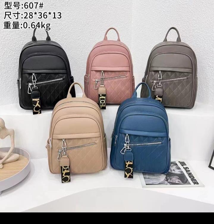 Single Ladies Backpack Smart and Elegant Bag Laptop Bags