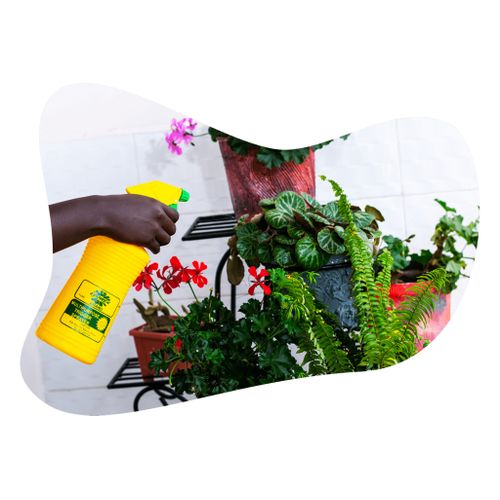 Flower Spray Bottle 1 Litre Garden Sprayer(Flower Good Quality Trigger)