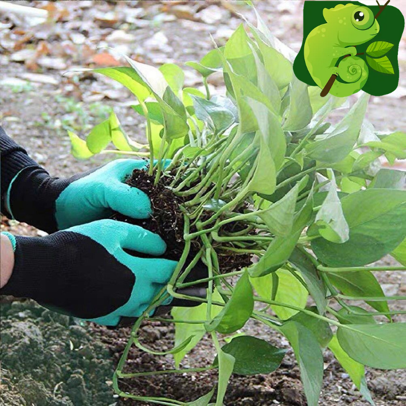 Garden Gloves With Claws - Dig, Plant, Weed & Seed Effortlessly - Protect Your Fingers & Nails Paw Garden Anti-Thorn Gloves Waterproof Latex Digging Gloves for Weeding Flower Planting Safety Gloves -