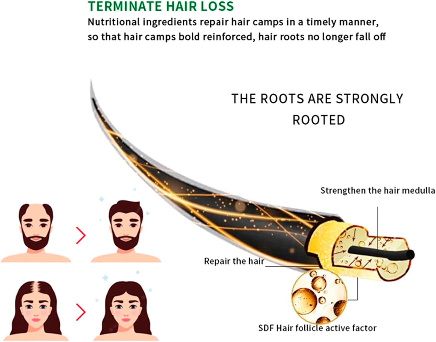Disaar Hair Care, Hair Nutrient Solution, Promotes Hair Growth, Hair Regrowth Serum Treatment, Anti Hair Loss Serum, Hair Thickener Serum Melon extract & Ginger root oil, Ginseng root extract, 120ml.