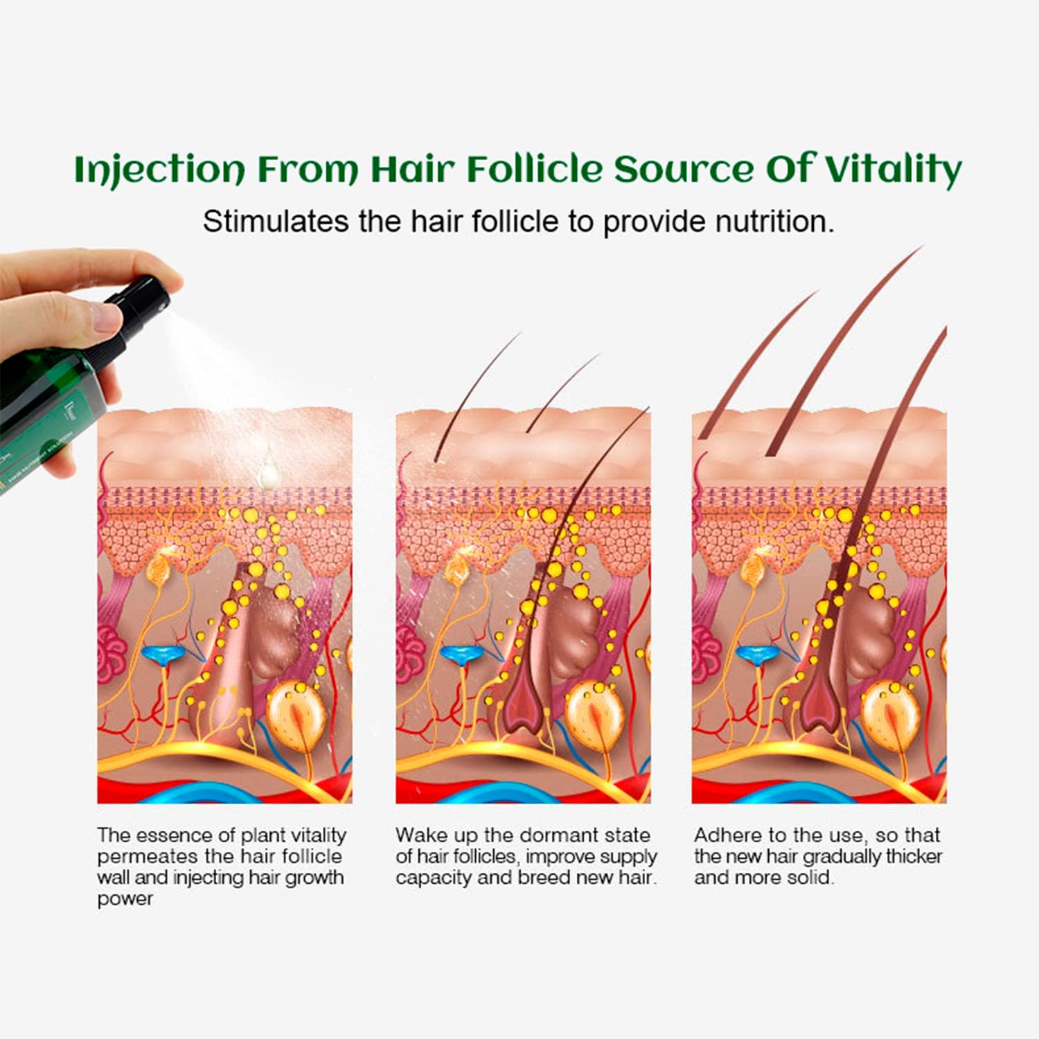Disaar Hair Care, Hair Nutrient Solution, Promotes Hair Growth, Hair Regrowth Serum Treatment, Anti Hair Loss Serum, Hair Thickener Serum Melon extract & Ginger root oil, Ginseng root extract, 120ml.