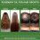 Nature Spell Rosemary Oil for Hair, Skin and Body,Pre-Diluted Treatment for Hair Loss Hair Growth,Thicker Hair & Dandruff, Adds Shine, Prevents Greying,Hydrating,Anti-Aging, Improves Complexion- 150mL
