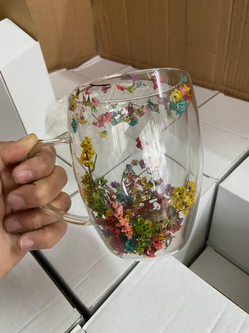 2pcs Insulated Double Wall Glass Cup dried flower coffee cup with handle household  and capacity of 350mls for hot and cold...water cup.milk mug and tea cup