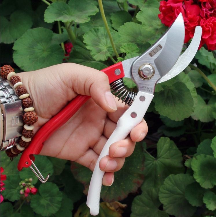 Pruning shears tool for Grape picking, Vegetable, Fruit tree trimming, Gardening, Flower picking Fruit scissors Flower trimming