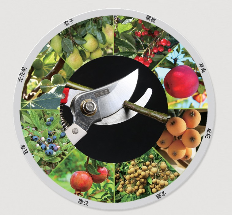 Pruning shears tool for Grape picking, Vegetable, Fruit tree trimming, Gardening, Flower picking Fruit scissors Flower trimming