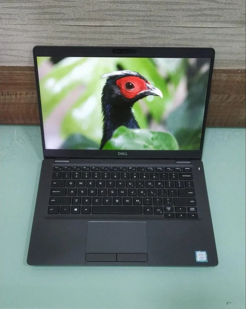 Dell Latitude 5300 Refurbished Laptop i5+8GB+256GB+Free Bag SSD 8th Gen 13.3" HD Display Bluetooth Webcam Student professional laptop