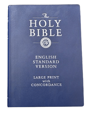 Holy Bible English Standard Version-Vinyl Cover -Blue