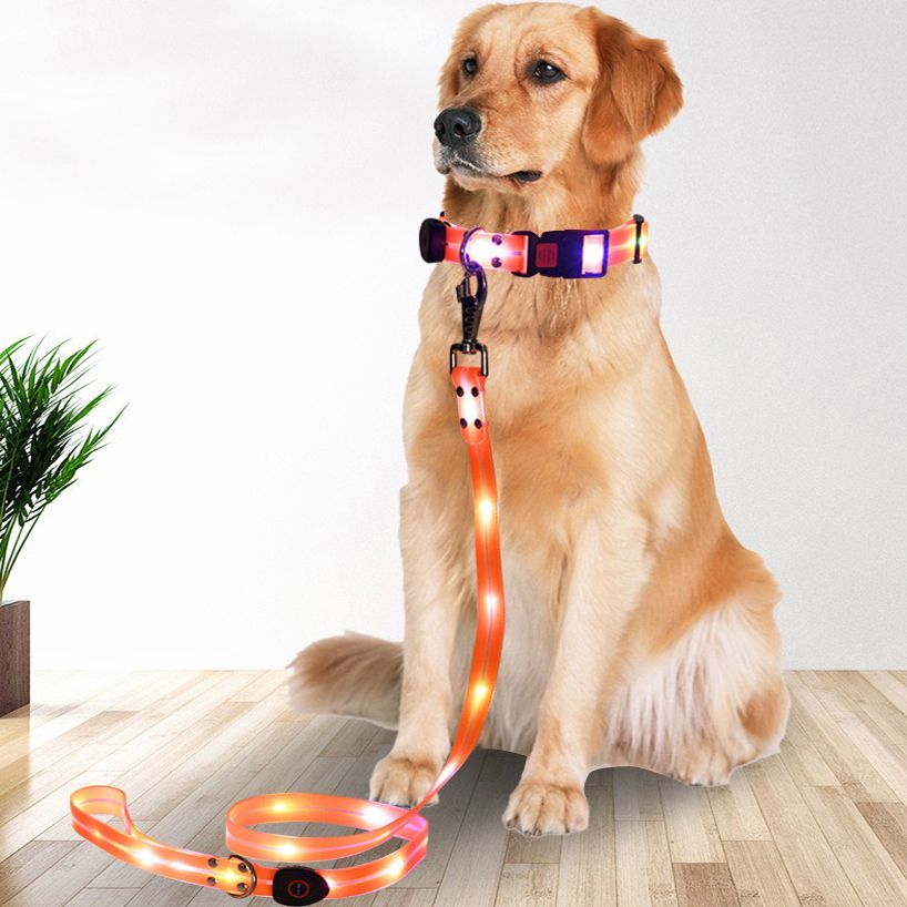 LED Dog Collar with Leash USB Rechargeable Light Up Reflective Pet Collar for Night Walking Durable PVC Coated Webbing Adjustable Fit