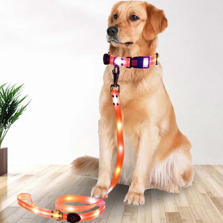 LED Dog Collar with Leash USB Rechargeable Light Up Reflective Pet Collar for Night Walking Durable PVC Coated Webbing Adjustable Fit