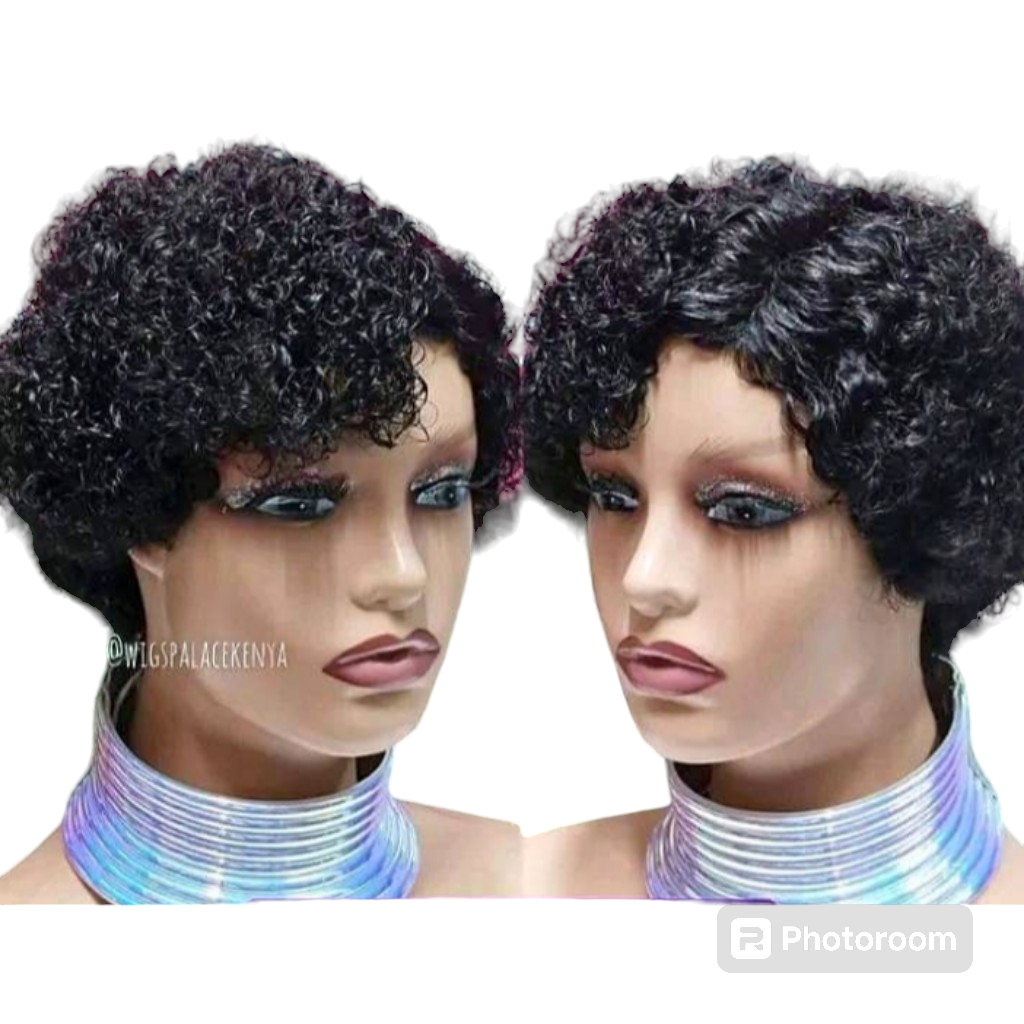 Short curly human hair wig