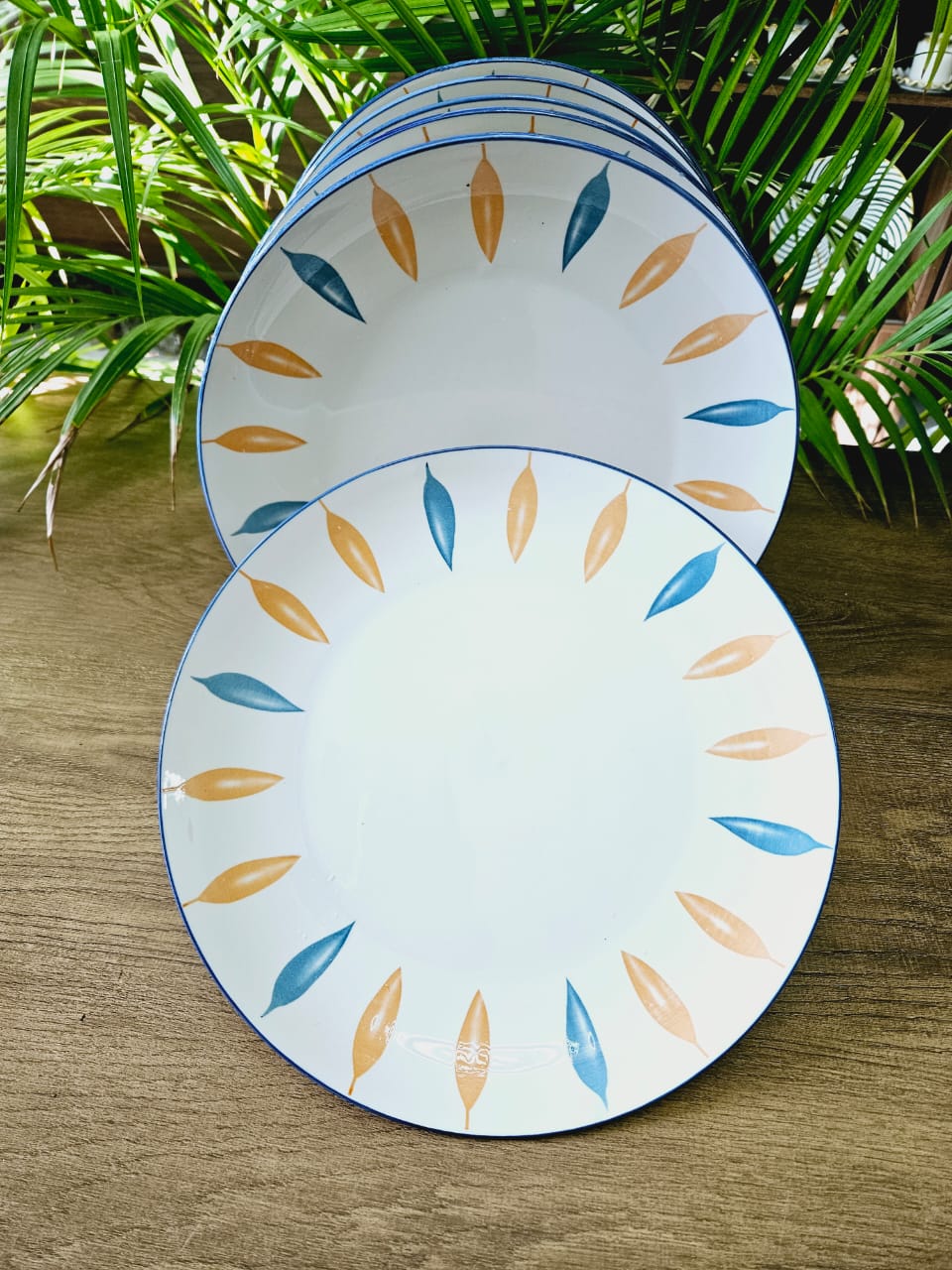 6 pc ceremic plates
