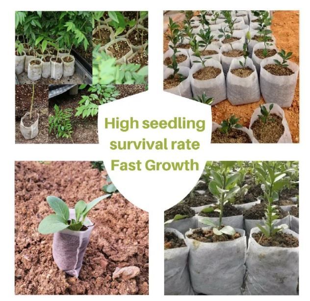 50pcs Multipurpose Non-Woven Bio-degradable Flower & Plant Grow Seedling Nursery Bags