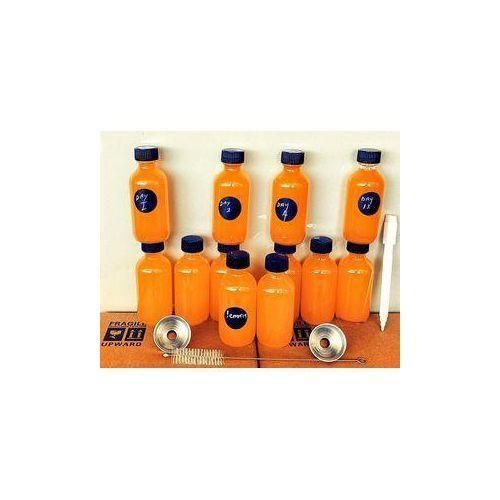 5pcs Glass Ginger shots bottles Portable Leakproof Glass Jars With Lids- Glass Juice Shot Bottles With Caps For Wellness Shot Glass Juice Shot Bottles with Caps