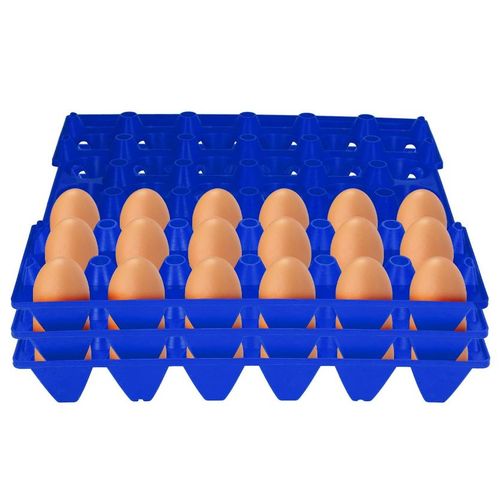 Vented Plastic 30 Eggs Tray Rack holder 30 Holes Egg Holder Tray egg organization tray reusable eggs tray storage