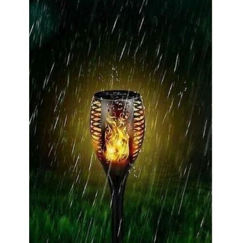 Solar LED Outdoor Lights, Waterproof Garden Pathway and Driveway Lighting with Energy-Efficient Solar Panels, Durable Design, and Bright Illumination for Yards, Walkways, Patios, and Landscaping