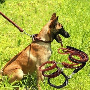 Complete Set: Premium Rolled-Up Leather Dog Collar & Leash with Strong Buckle, Adjustable Fit & Comfortable Grip for All Dog Sizes
