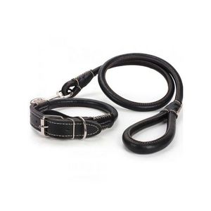 Complete Set: Premium Rolled-Up Leather Dog Collar & Leash with Strong Buckle, Adjustable Fit & Comfortable Grip for All Dog Sizes