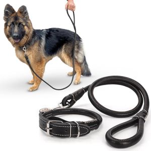Complete Set: Premium Rolled-Up Leather Dog Collar & Leash with Strong Buckle, Adjustable Fit & Comfortable Grip for All Dog Sizes