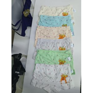 Ultra-Soft Cotton Hotpants Multipack – Trendy Assorted Color Collection for Play, School, and Everyday Style