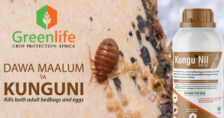 Fast Action!! For Bedbugs KunguNil Pesticide Kills Bedbugs and their eggs So Fast. Kunguni Nil Insecticide against bed bugs ,cockroaches and fleas in  in homes, schools, hotel and other public places