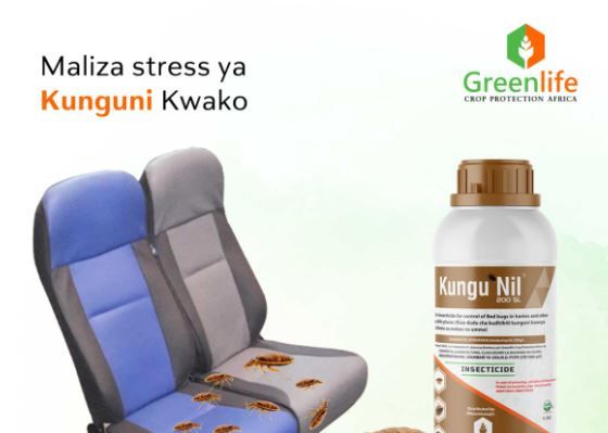 Fast Action!! For Bedbugs KunguNil Pesticide Kills Bedbugs and their eggs So Fast. Kunguni Nil Insecticide against bed bugs ,cockroaches and fleas in  in homes, schools, hotel and other public places