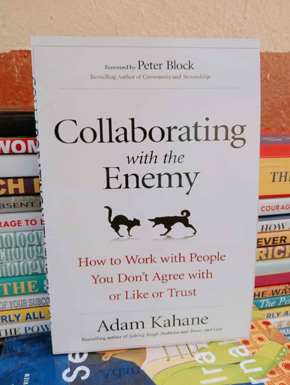 Collaborating with the Enemy: How to Work with People You Don't Agree with or Like or Trust
