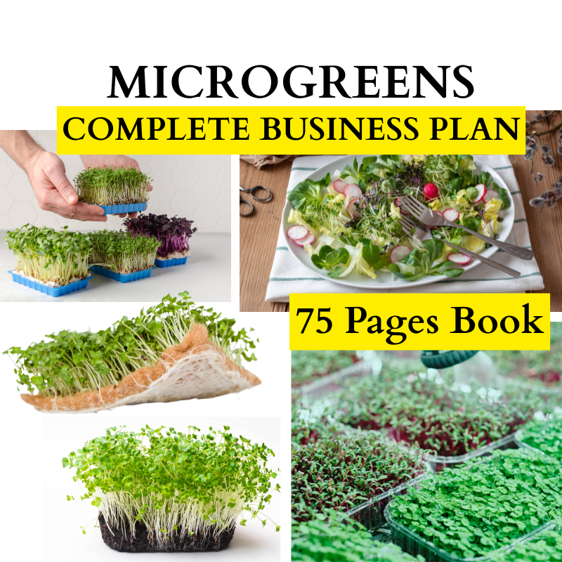 Microgreens Farming & Marketing: Complete Business Plan for Kenya