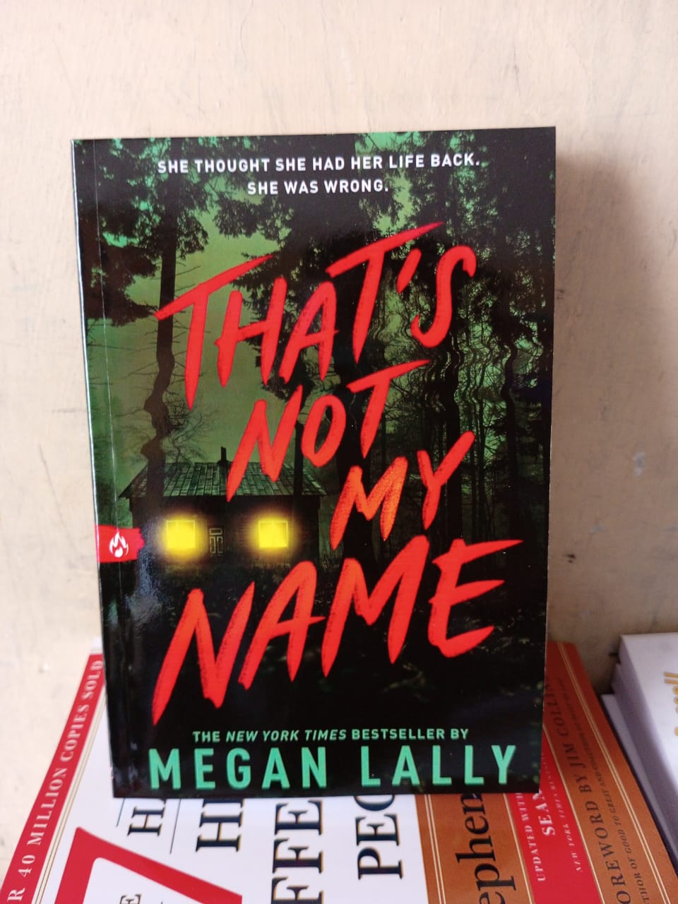 That's Not My Name" Book By Megan Lally