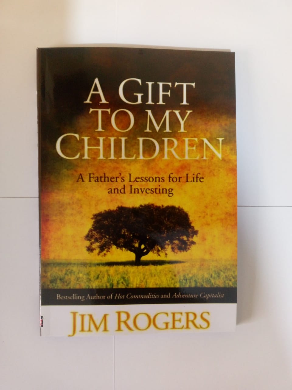 "A Gift to My Children" Book By Jim Rogers