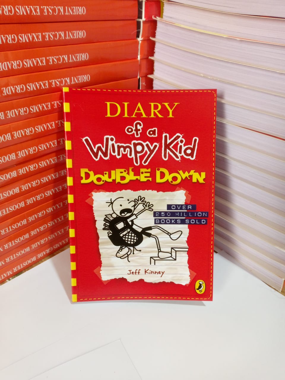 "Diary of a Wimpy Kid: Double Down" Book By Jeff Kinney