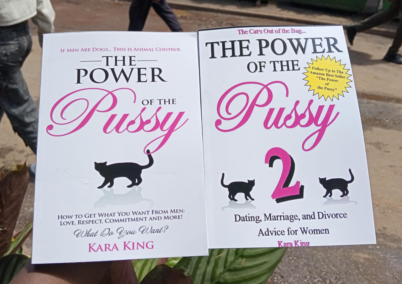 "2 In 1 The Power of the Pussy" Book By Kara King