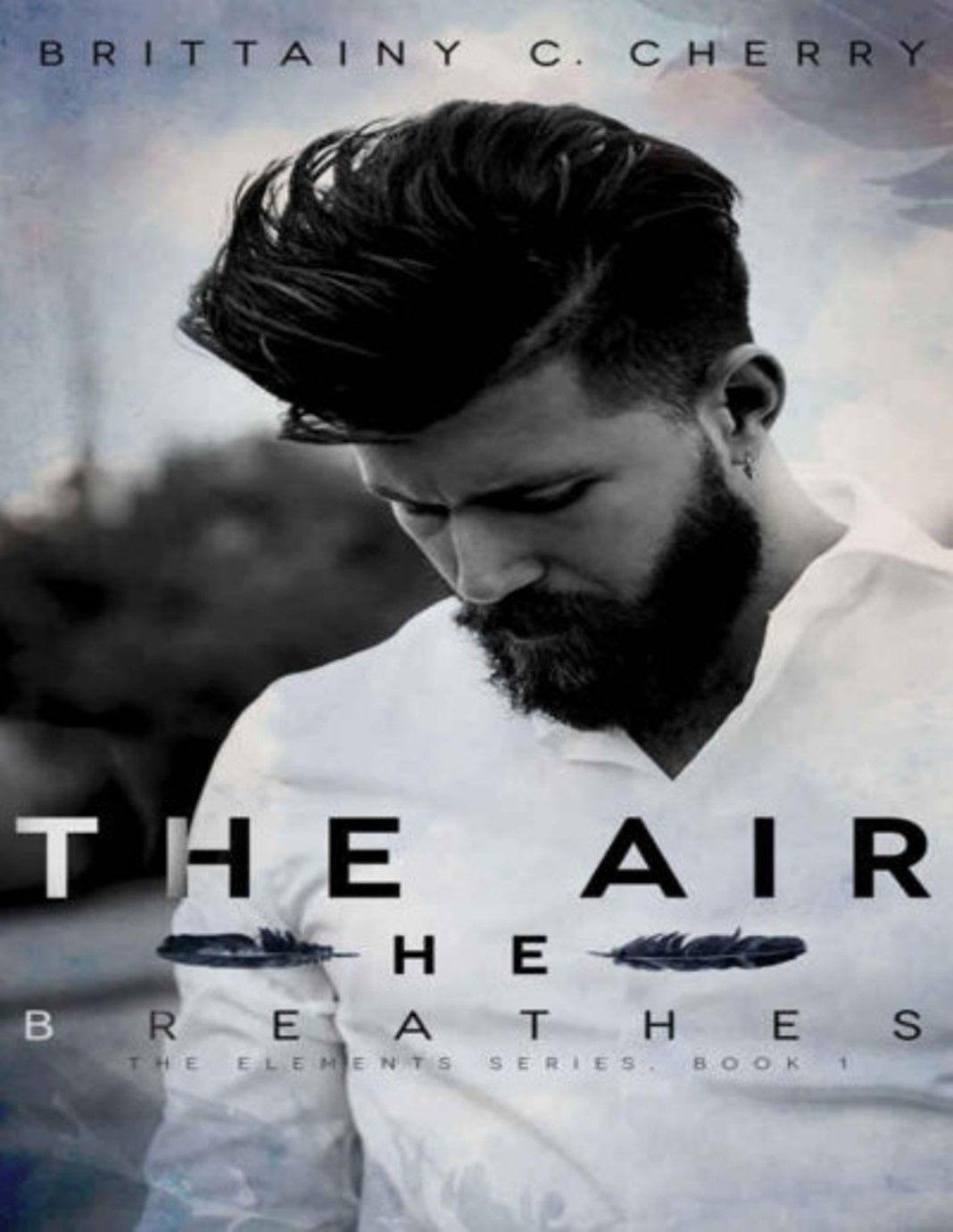 "The Air He Breathes" Book By Brittainy C. Cherry
