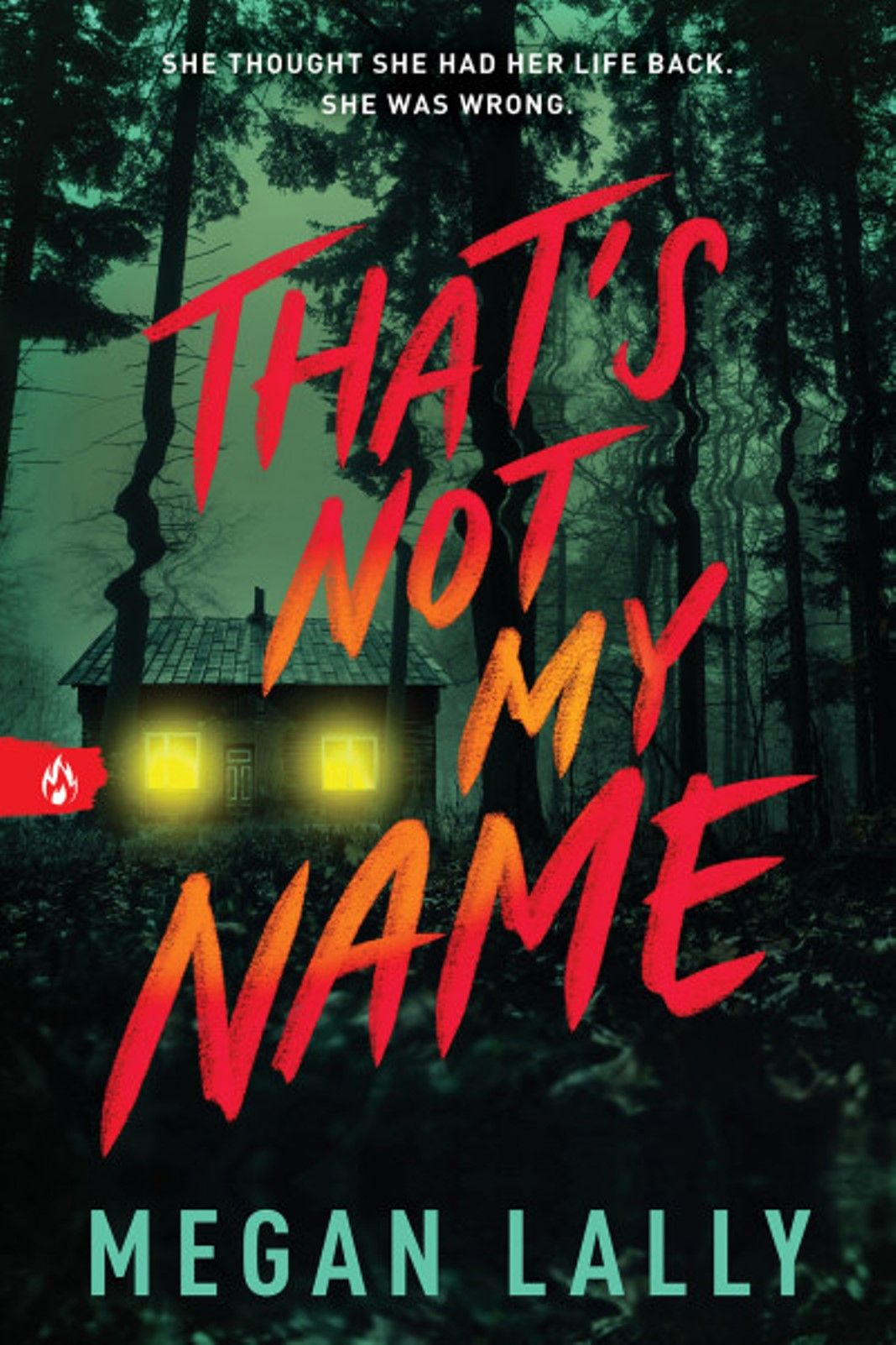 "That's Not My Name" Book By Megan Lally