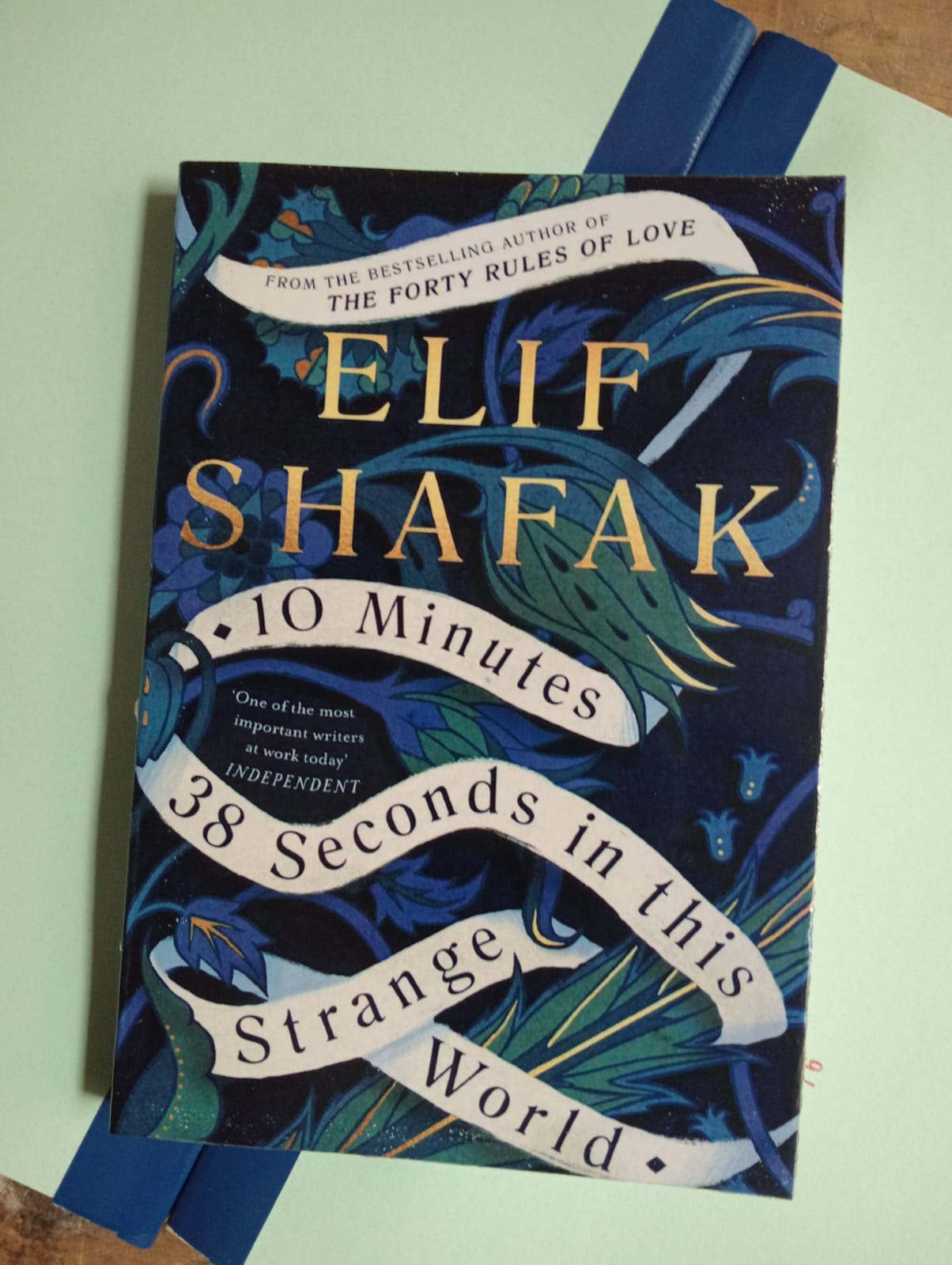 "10 Minutes 38 Seconds in this Strange World" Book By Elif Shafak
