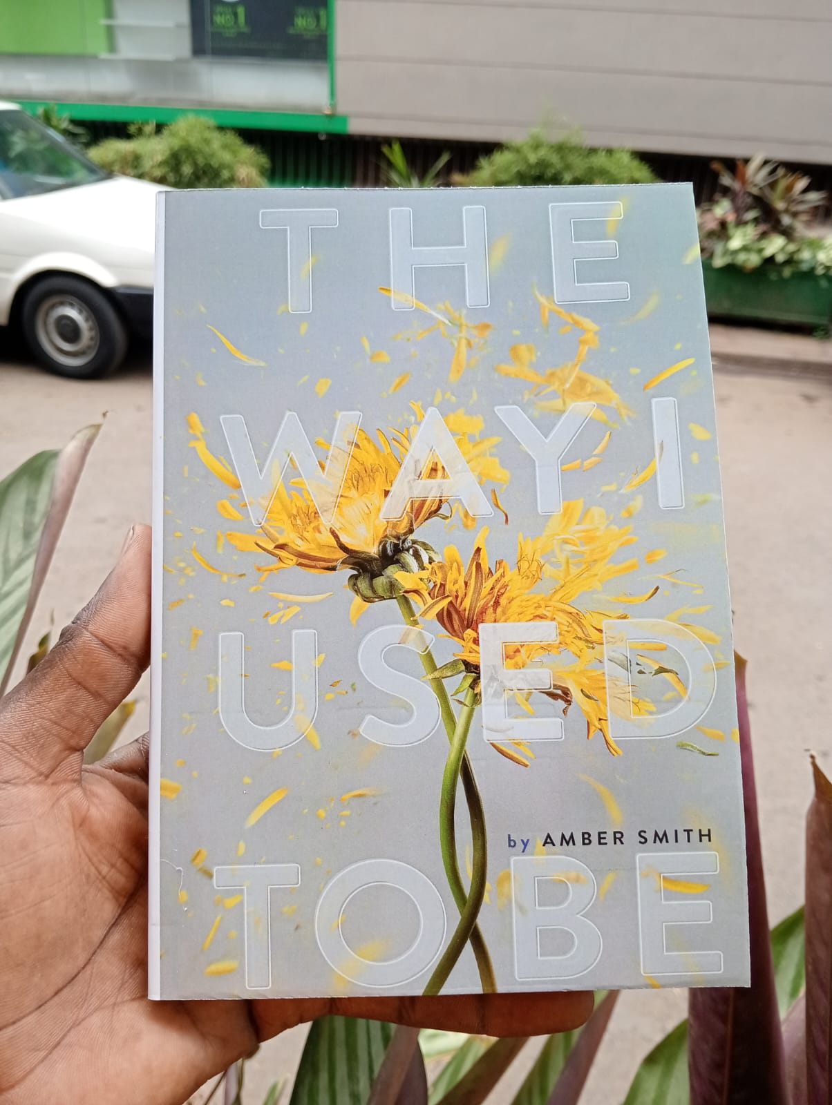 "The Way I Used to Be" Book By Amber Smith